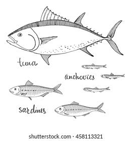 Tuna and anchoves