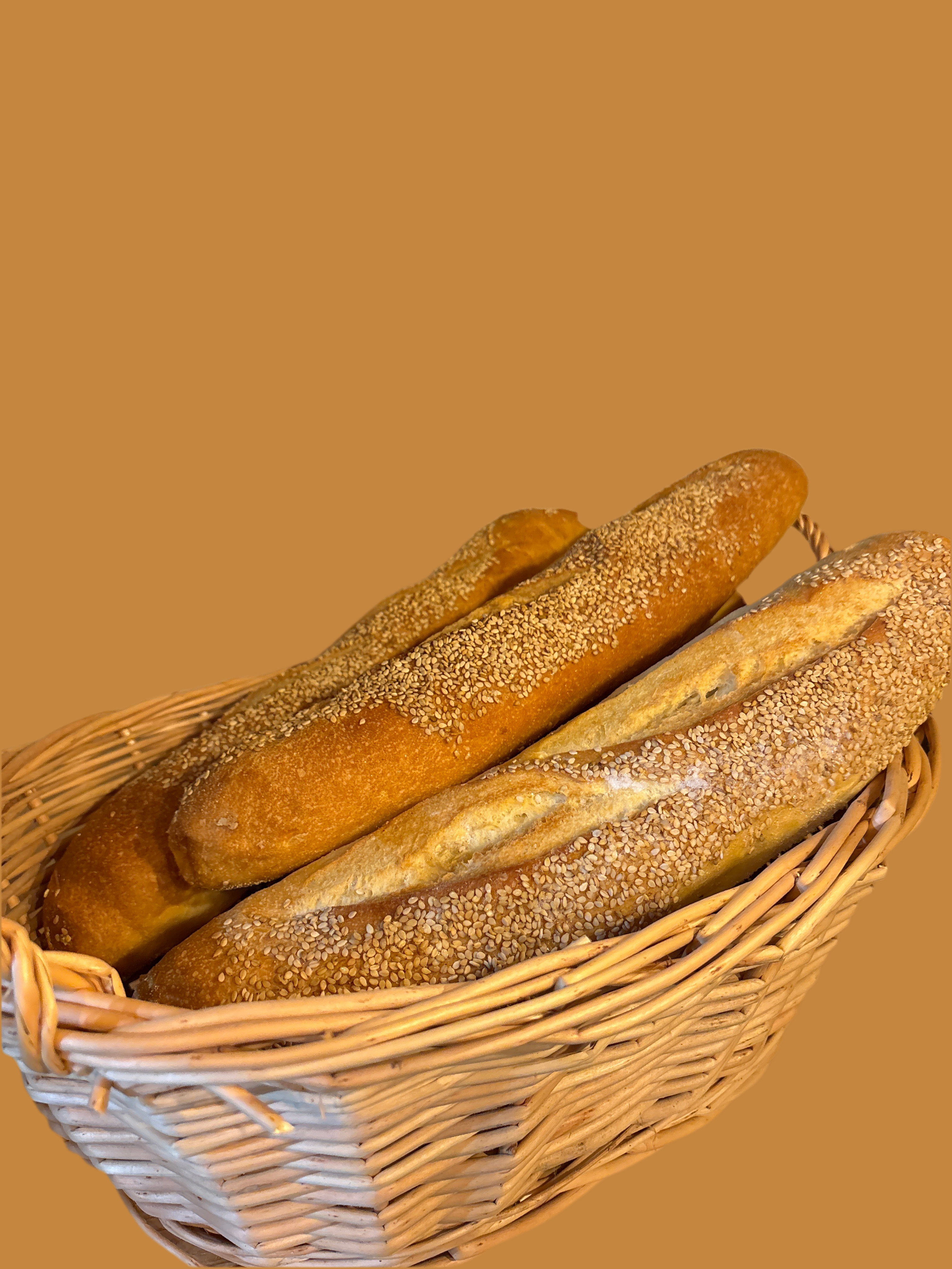Fresh Semolina bread with sesame seeds  Italian Filoncino “ Artisan Vucciria Gourmet Italian Market Brooklyn New York City