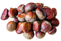 Fresh Italian Chestnuts Trucco