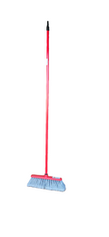 Italian broom