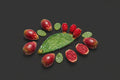 Cactus pear ceramic S. Stefano di camastra
