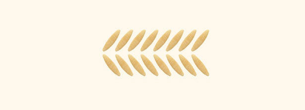 SEMI DI ORZO | 27